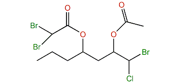 Ptilonine B